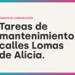 TAREAS DE MANTENIMIENTO CALLES LOMAS DE ALICIA